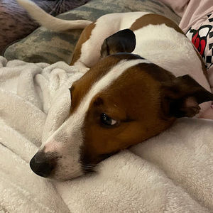 Meet your Posher, Mintcroon